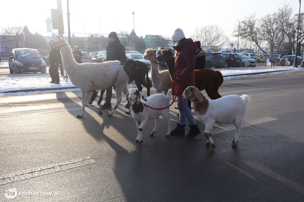 Orszak Trzech Króli w Sochaczewie 2026