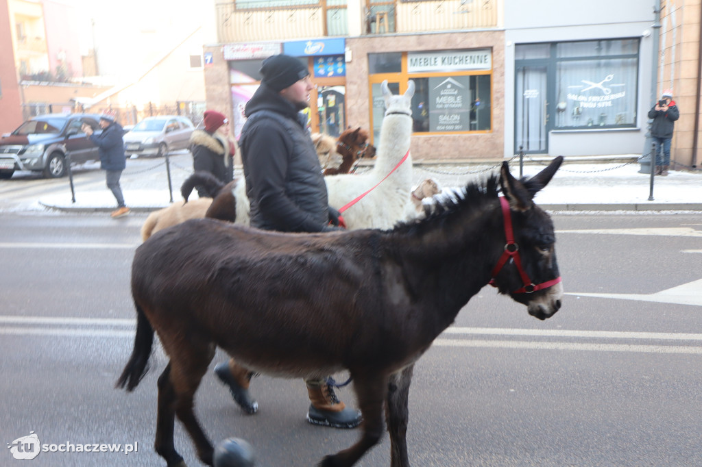 Orszak Trzech Króli w Sochaczewie 2026