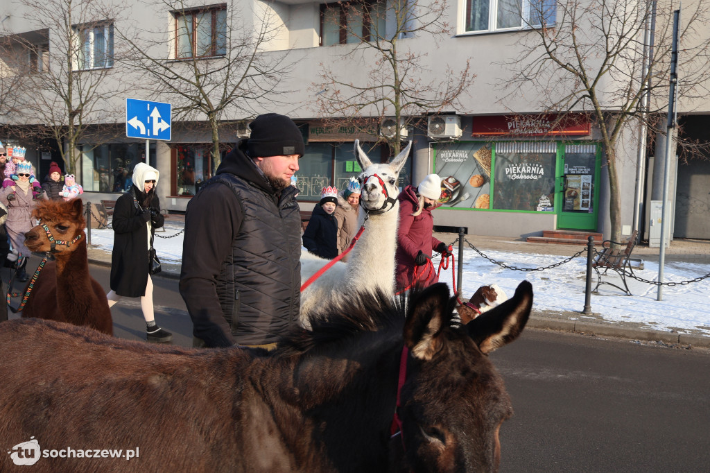 Orszak Trzech Króli w Sochaczewie 2026