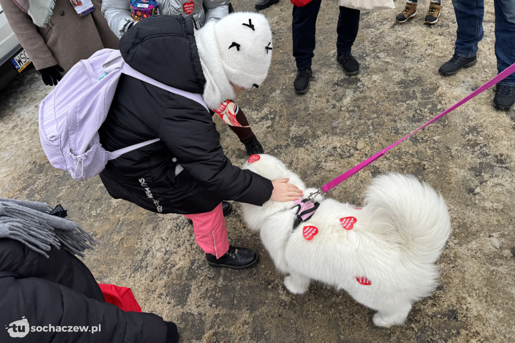 WOŚP 2026 na pl. Kościuszki w Sochaczewie