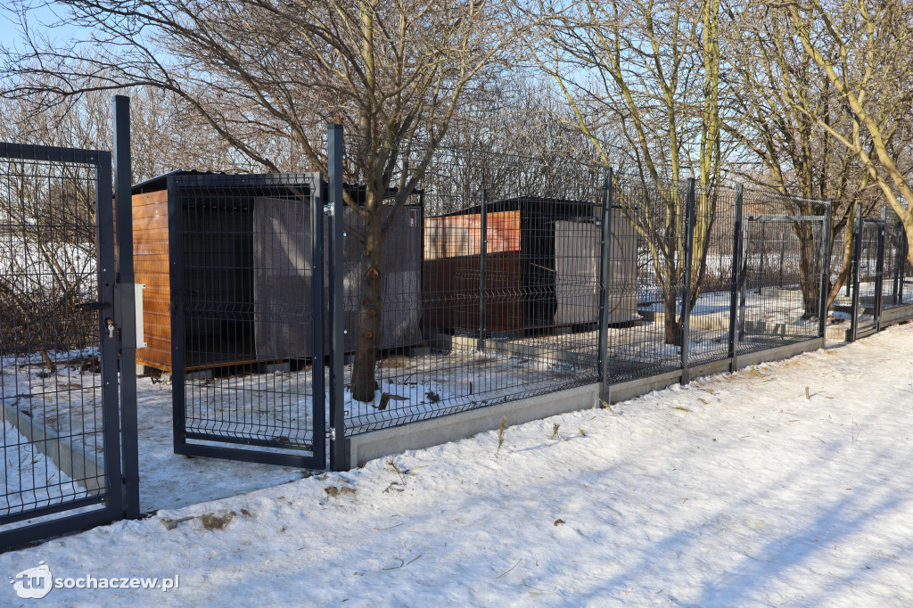 Nowe budy dla Kudłatych Przyjaciół