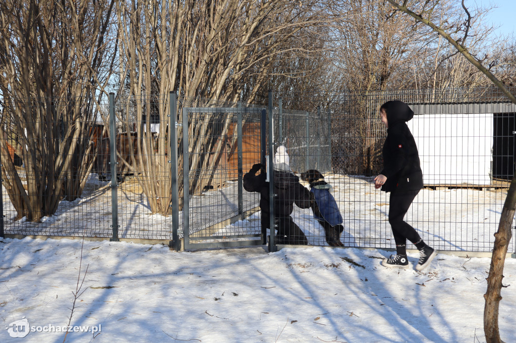 Nowe budy dla Kudłatych Przyjaciół