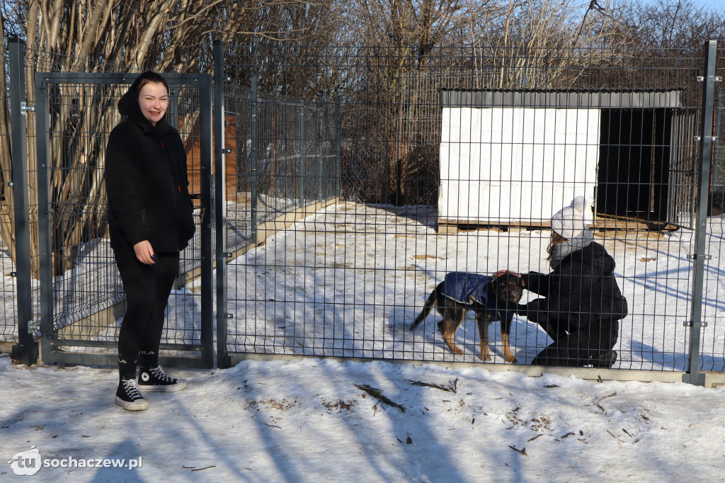 Nowe budy dla Kudłatych Przyjaciół