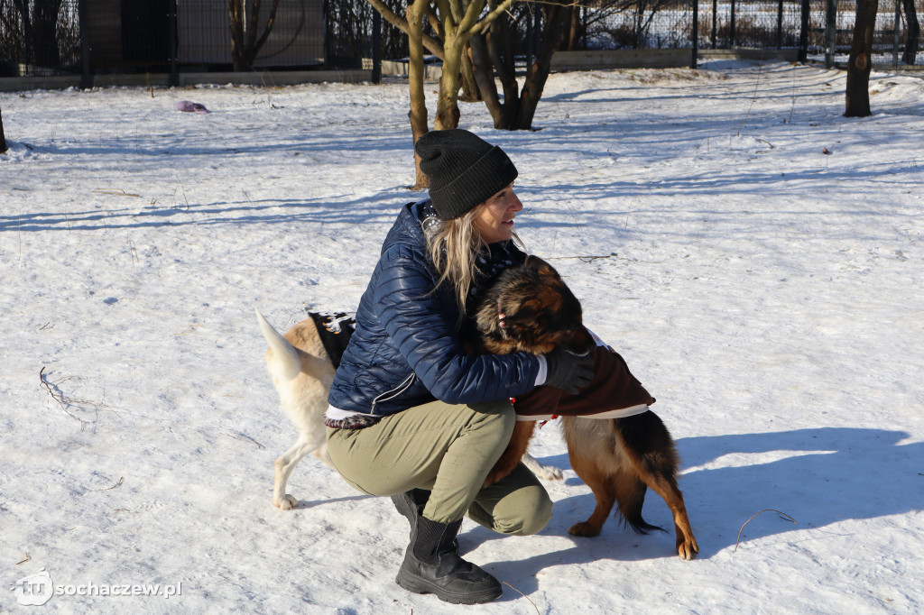 Nowe budy dla Kudłatych Przyjaciół