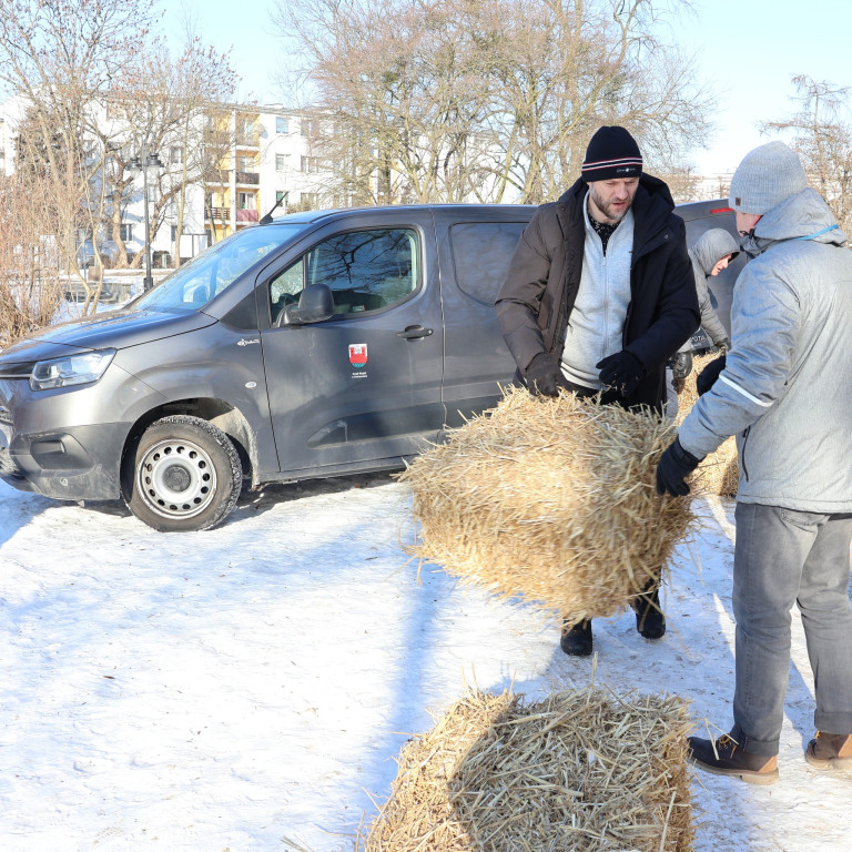 Na ratunek rybom w parkowym stawie