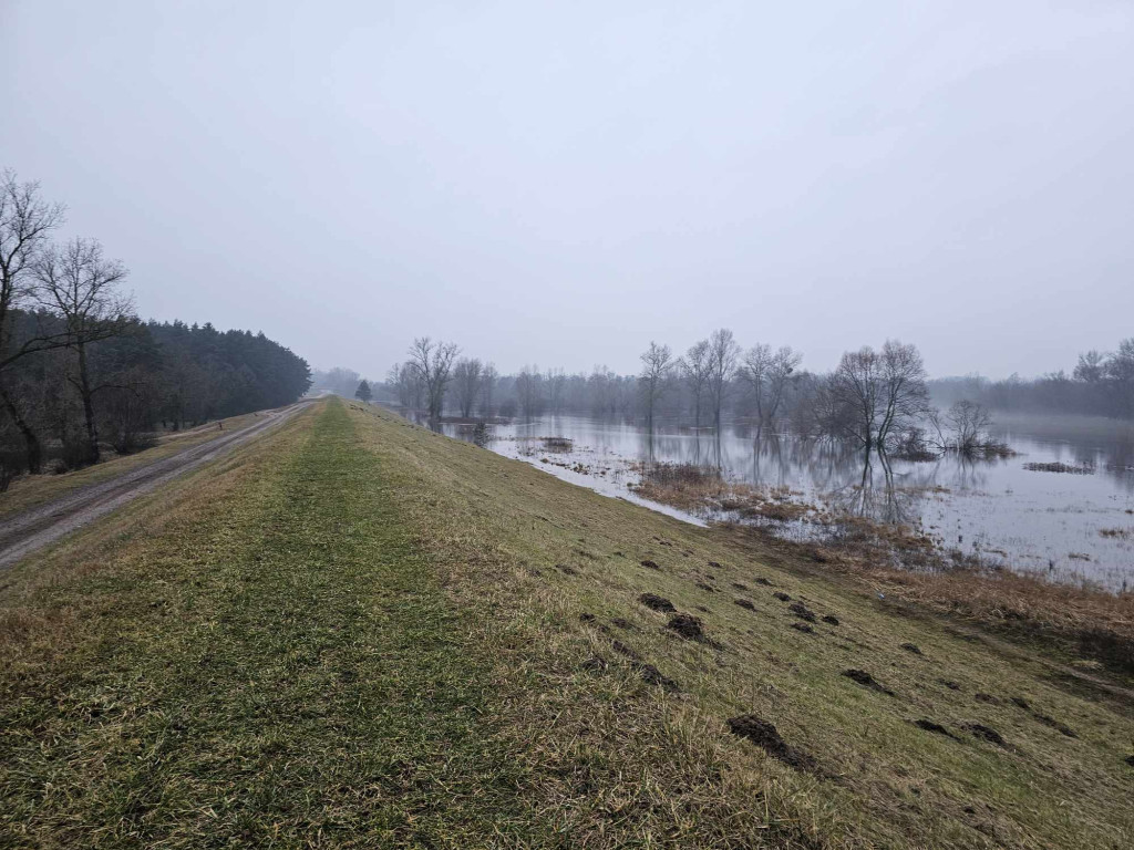 Sprawdzili wały przeciwpowodziowe w Gminie Młodzieszyn