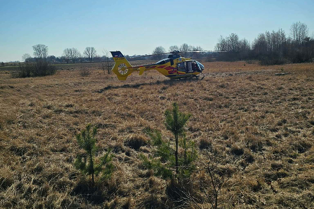 Interwencje strażaków