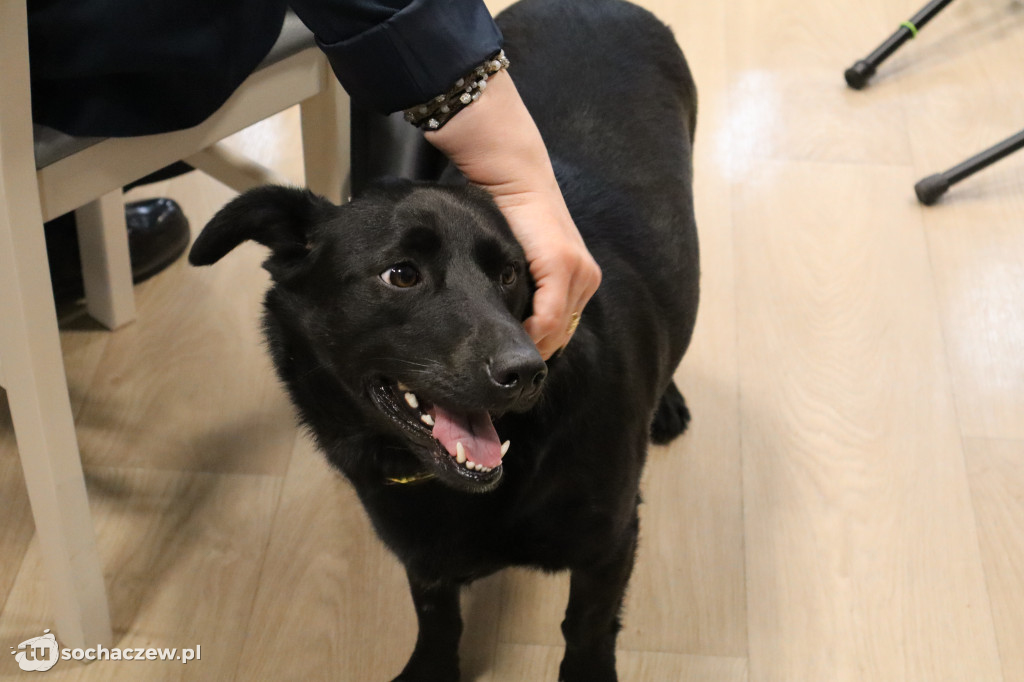 Dzień Zespołu Downa w sochaczewskim WTZ