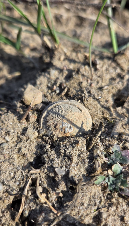 Wiosenne poszukiwania SGOH