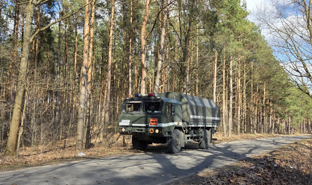 Wiosenne poszukiwania SGOH