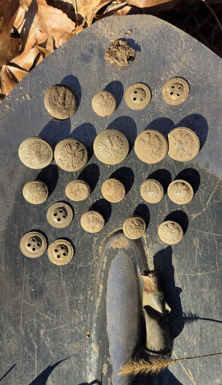 Wiosenne poszukiwania SGOH