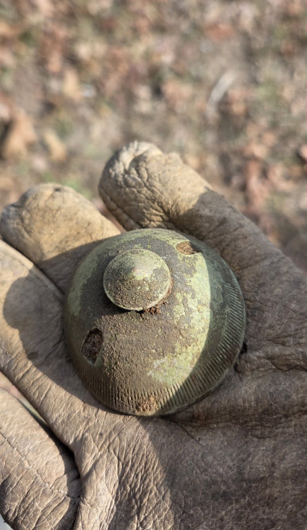 Wiosenne poszukiwania SGOH