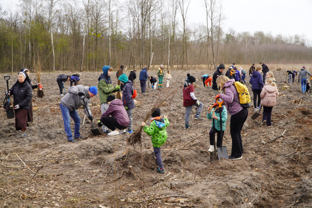 Wielka akcja w Teresinie