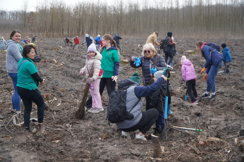 Wielka akcja w Teresinie