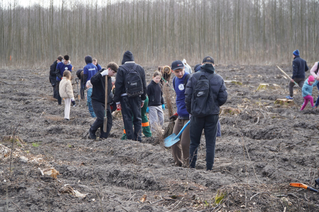 Wielka akcja w Teresinie
