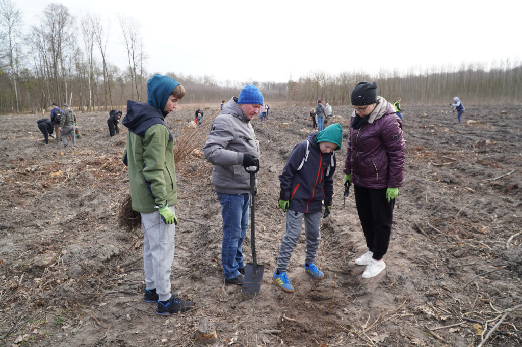 Wielka akcja w Teresinie
