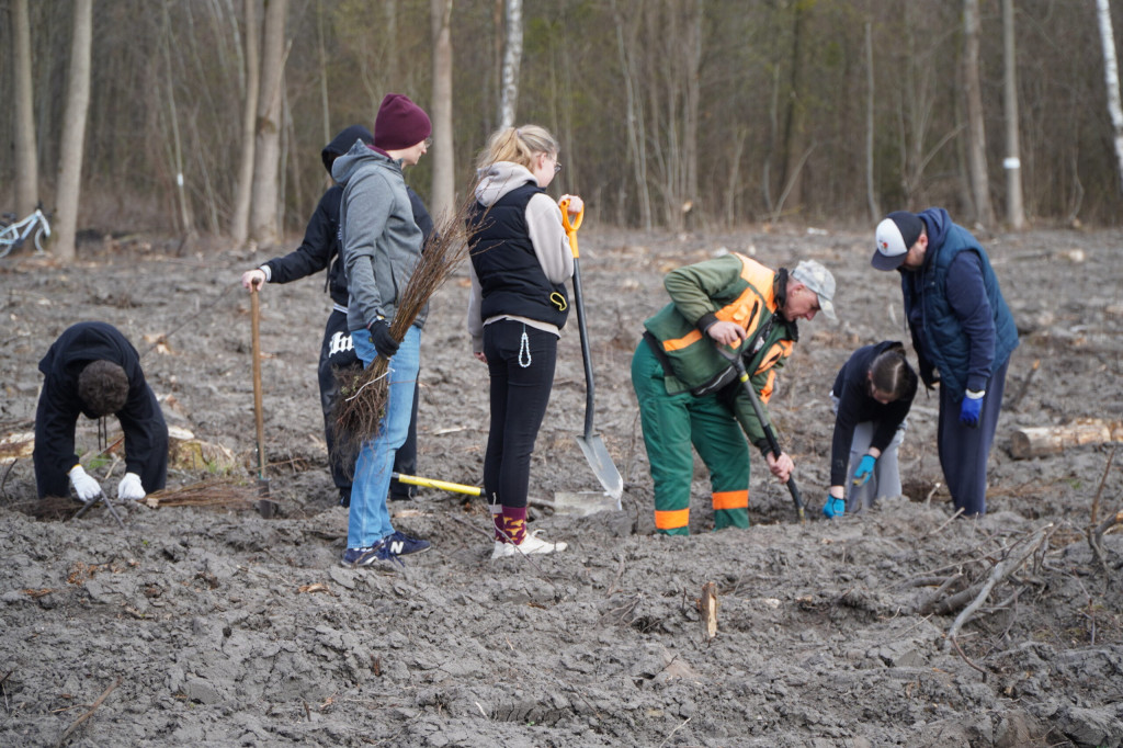 Wielka akcja w Teresinie