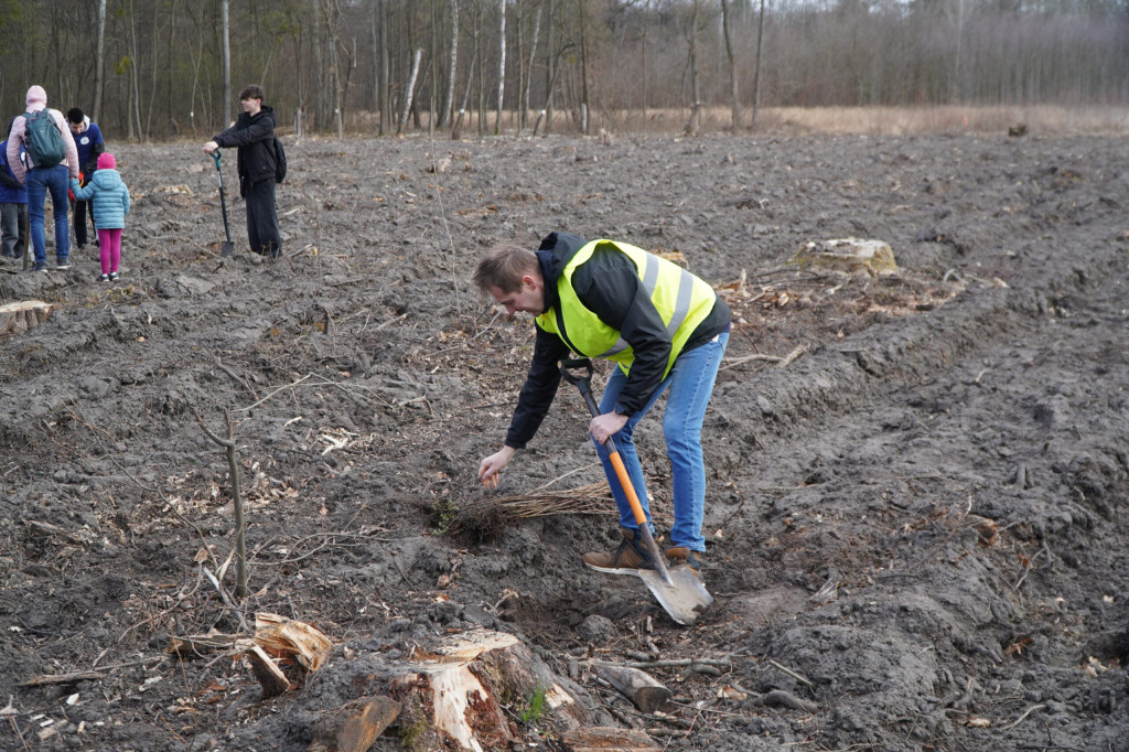 Wielka akcja w Teresinie