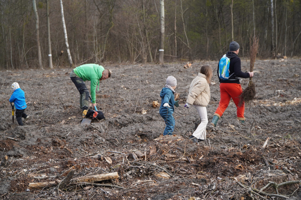 Wielka akcja w Teresinie
