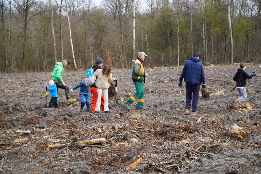 Wielka akcja w Teresinie