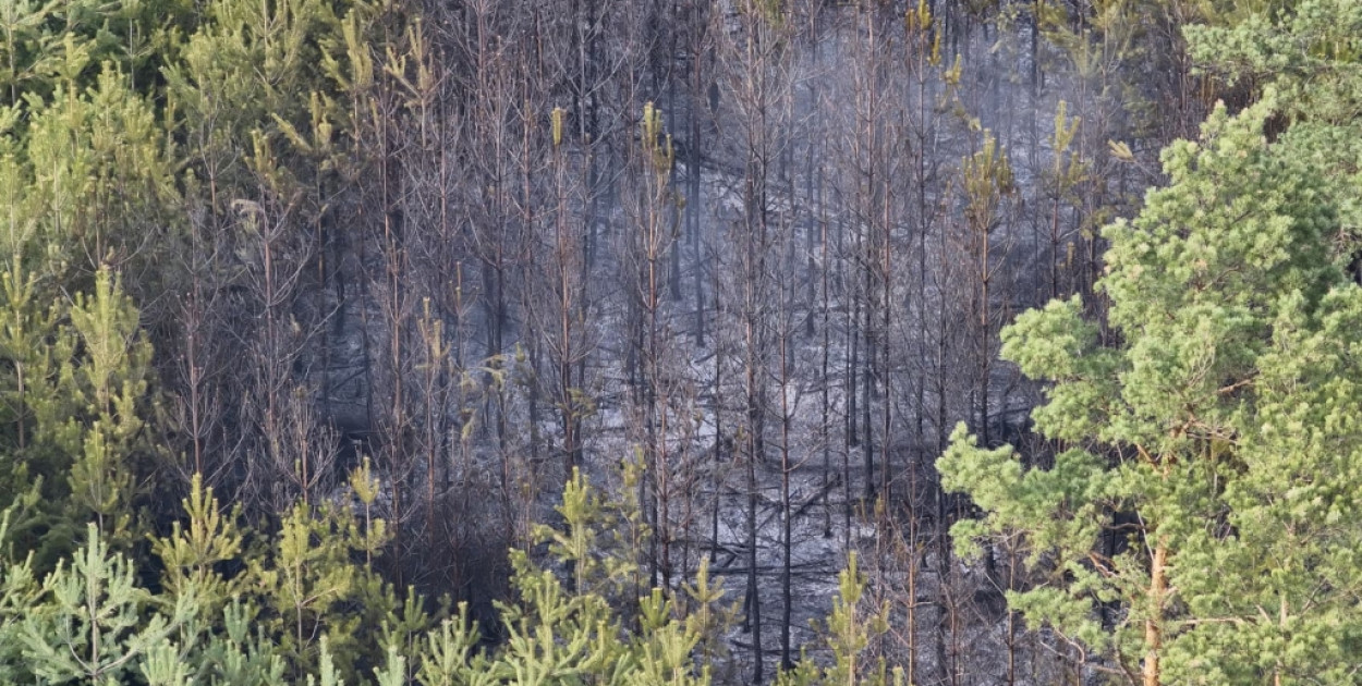 Pożary w powiecie sochaczewskim