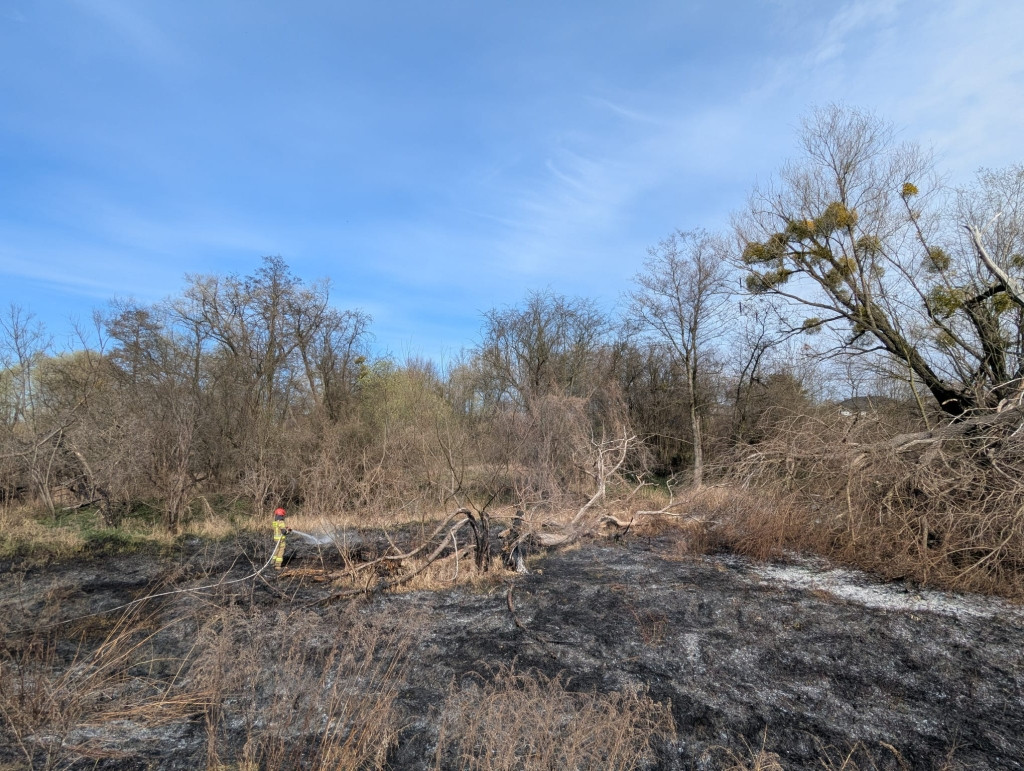 Pożary w powiecie sochaczewskim