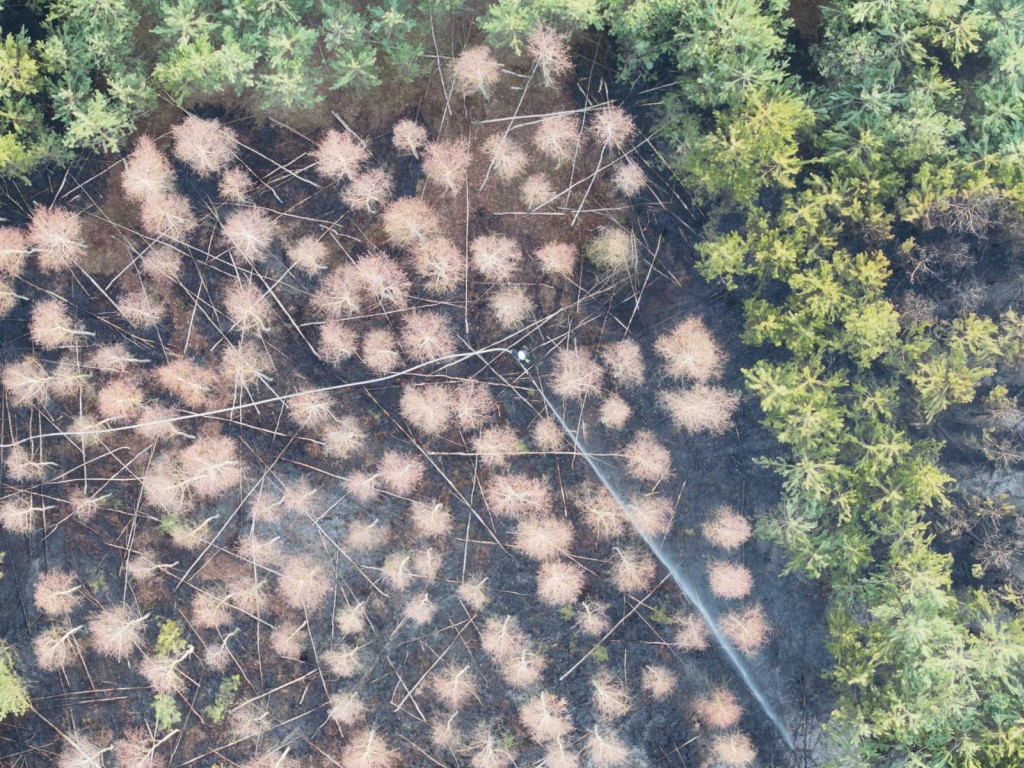 Pożary w powiecie sochaczewskim