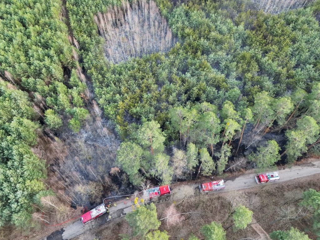 Pożary w powiecie sochaczewskim