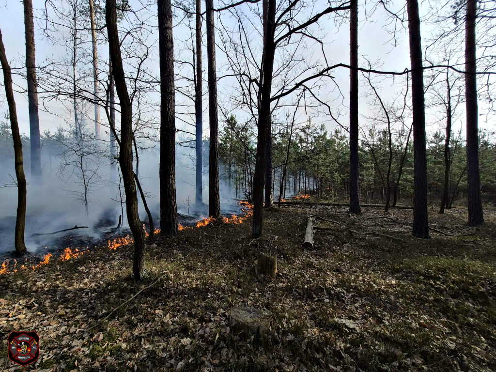 Pożary w powiecie sochaczewskim