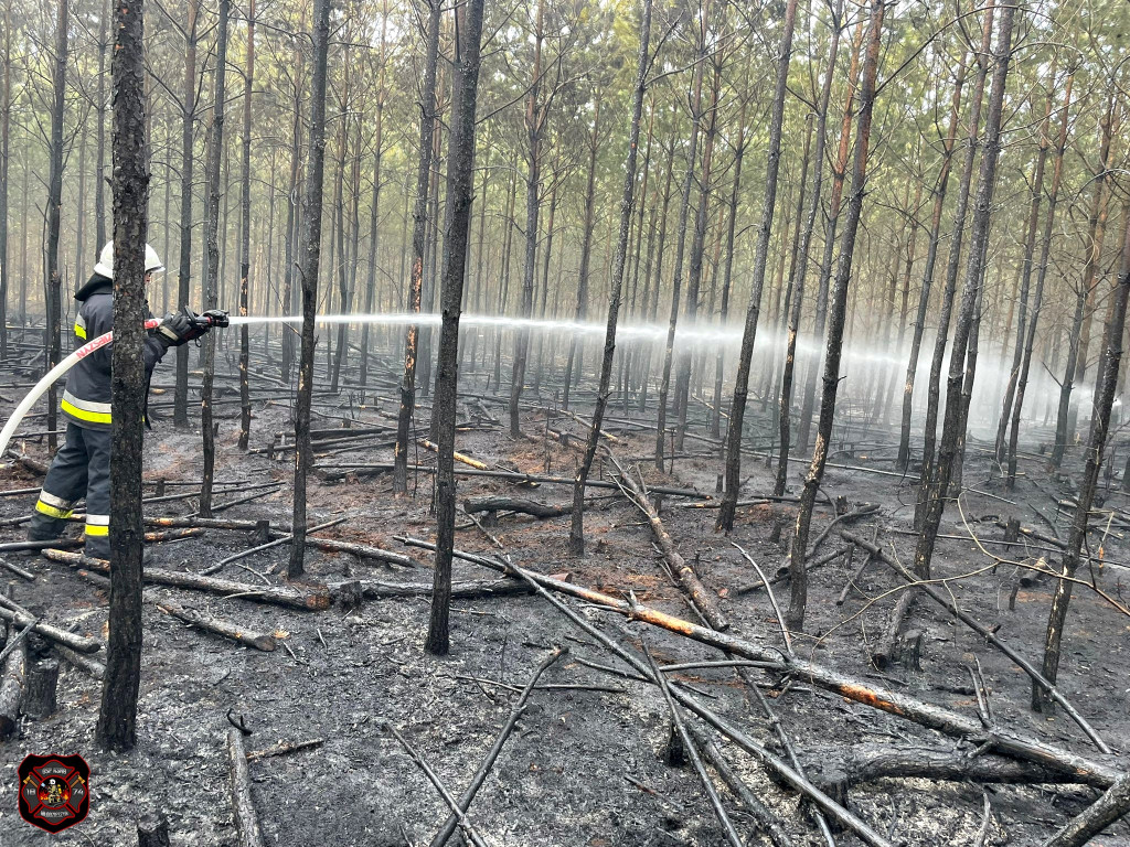 Pożary w powiecie sochaczewskim