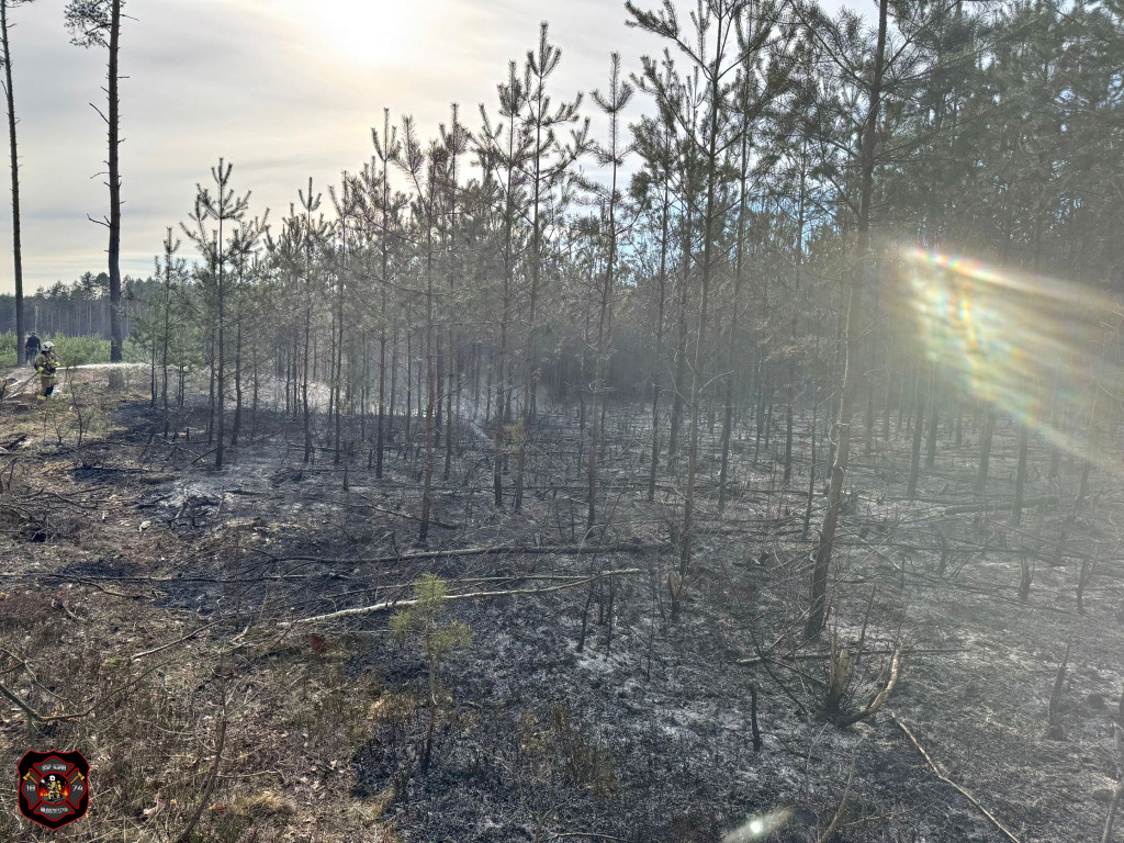 Pożary w powiecie sochaczewskim