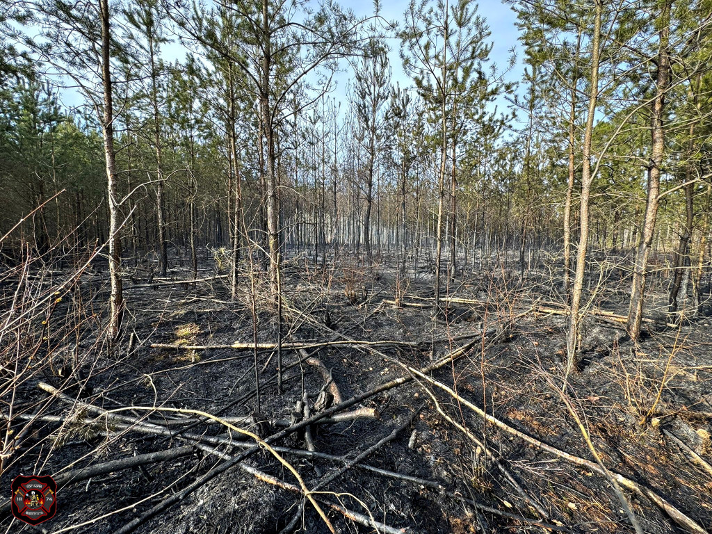 Pożary w powiecie sochaczewskim