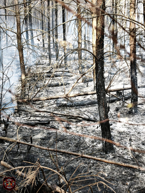 Pożary w powiecie sochaczewskim