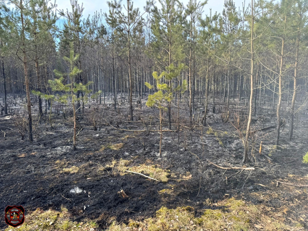 Pożary w powiecie sochaczewskim