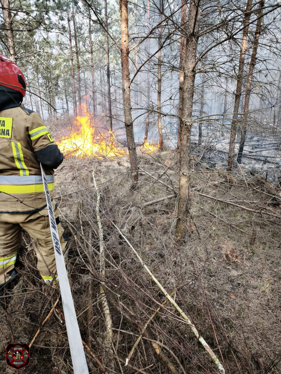 Pożary w powiecie sochaczewskim