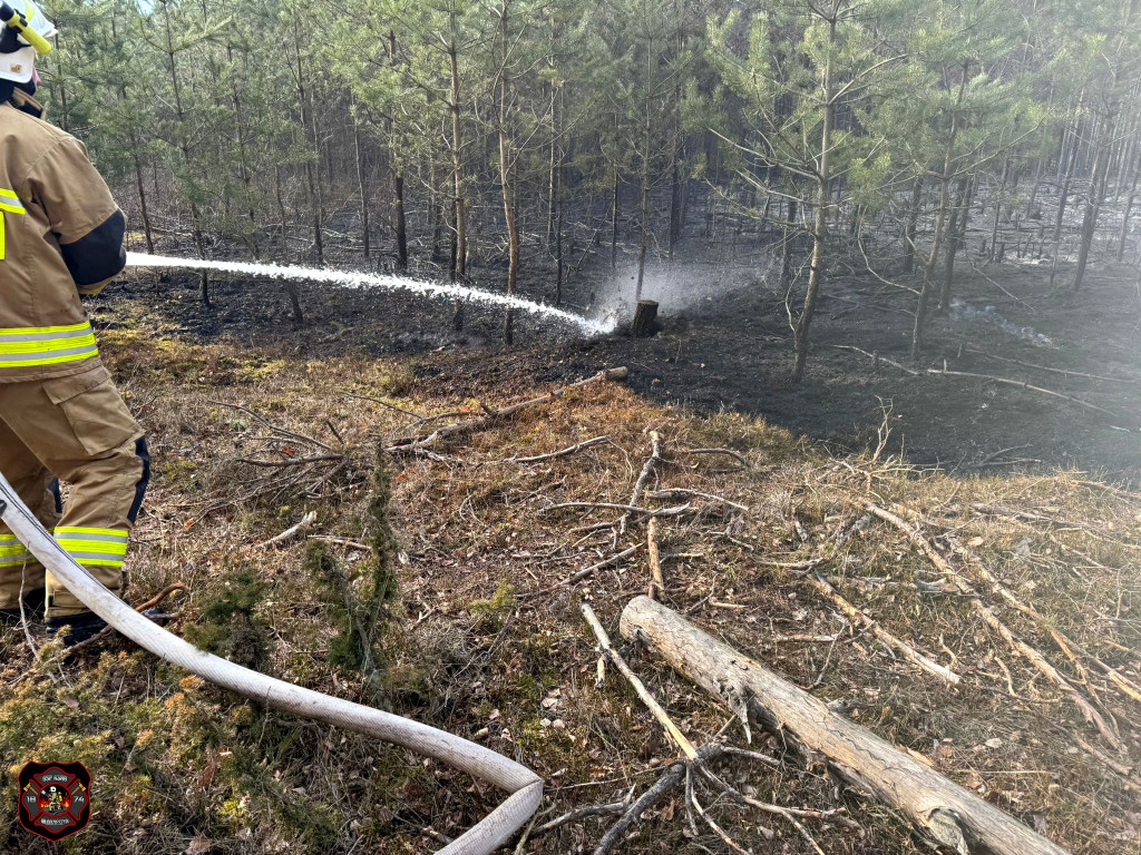 Pożary w powiecie sochaczewskim
