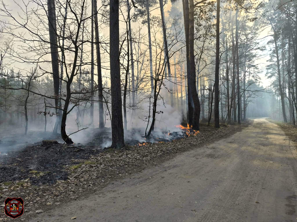 Pożary w powiecie sochaczewskim