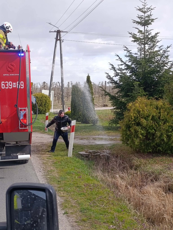Lany Poniedziałek w powiecie