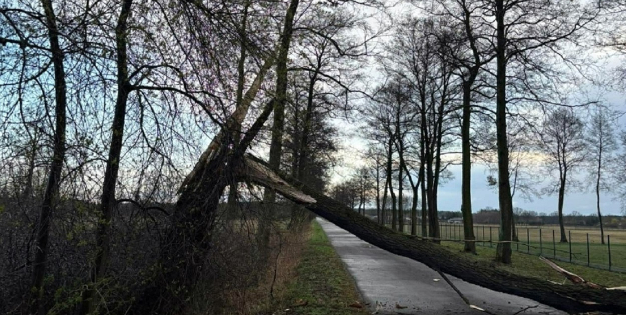 Wielkanocne interwencje straży