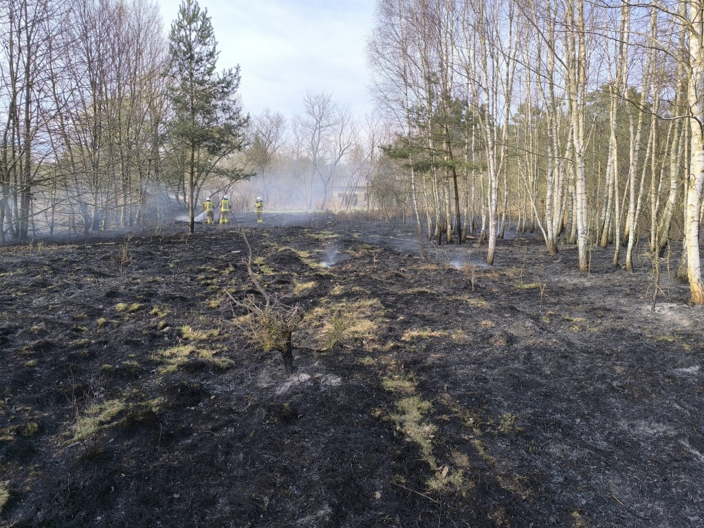 Wielkanocne interwencje straży