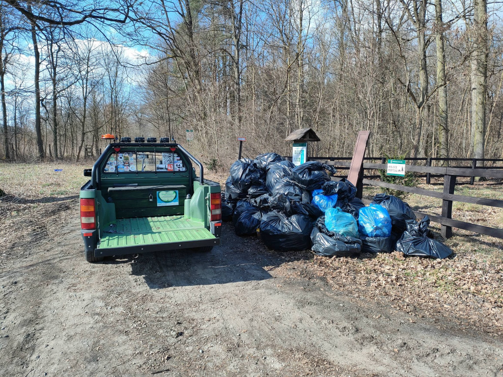Posprzątali Teresin