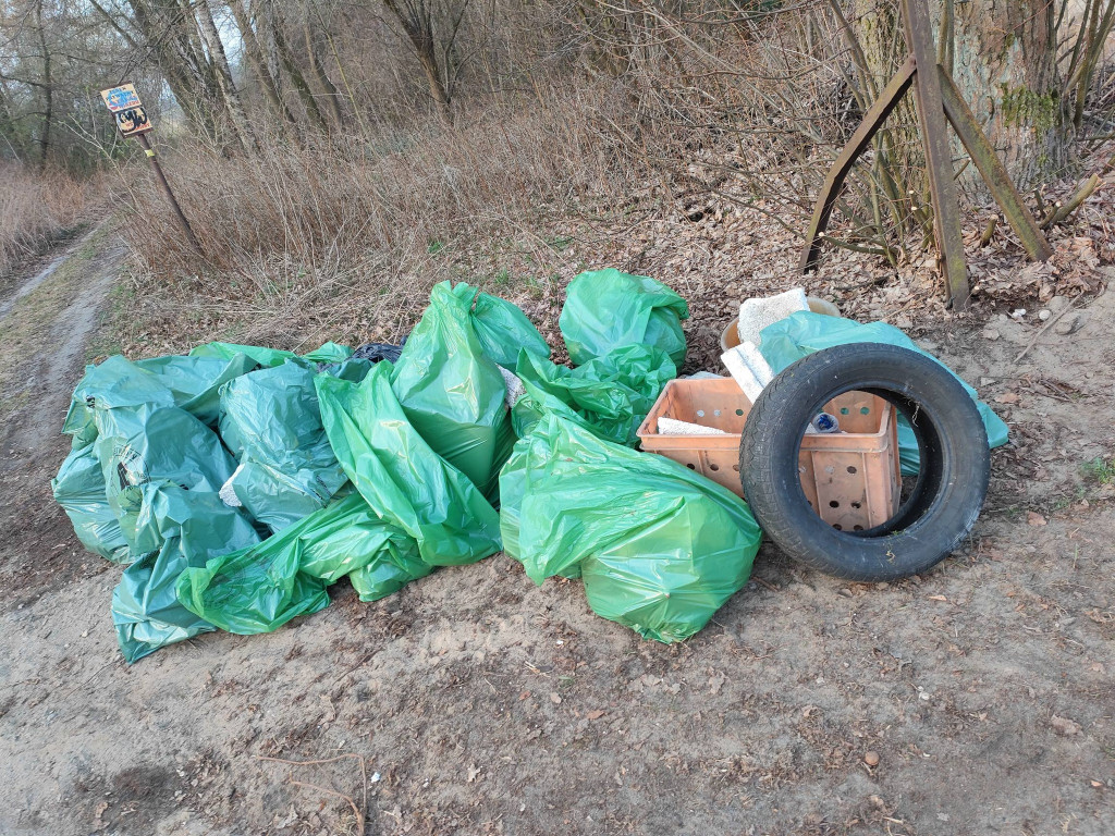Posprzątali Teresin