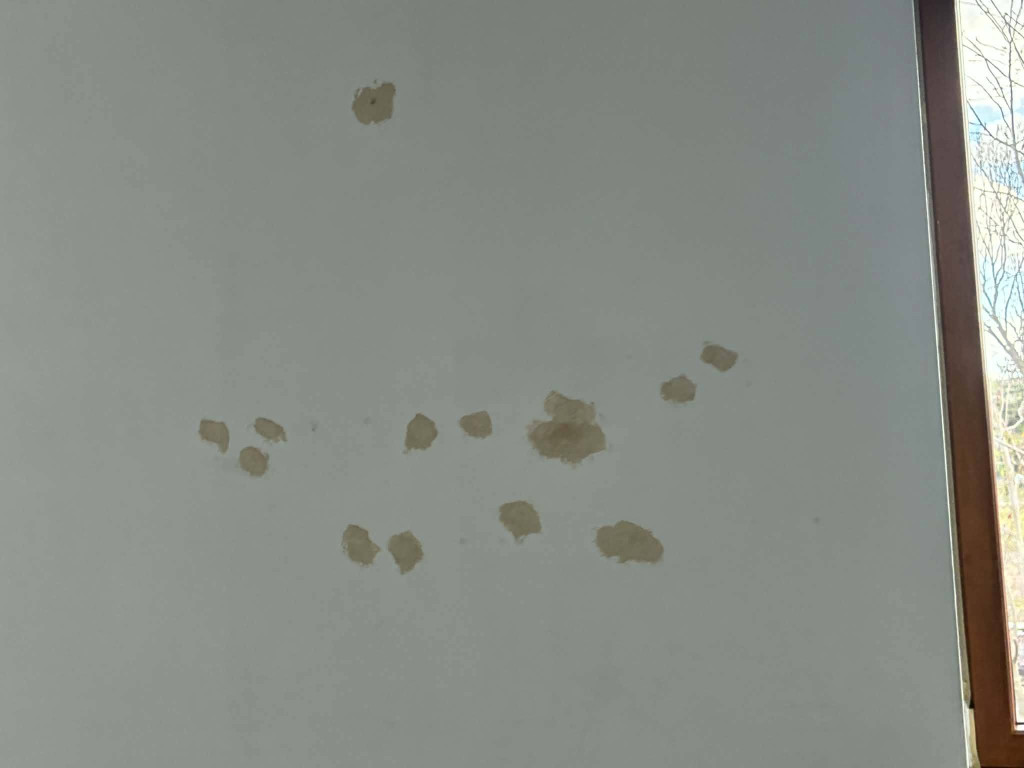 Remont biblioteki w Rybnie