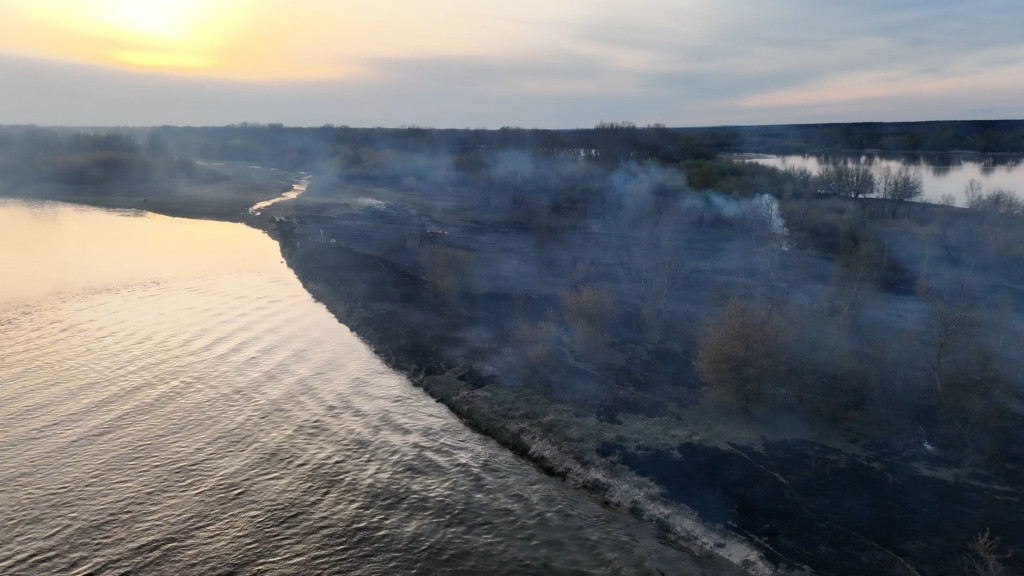 Pożar wyspy na Wiśle w Gminie Iłów