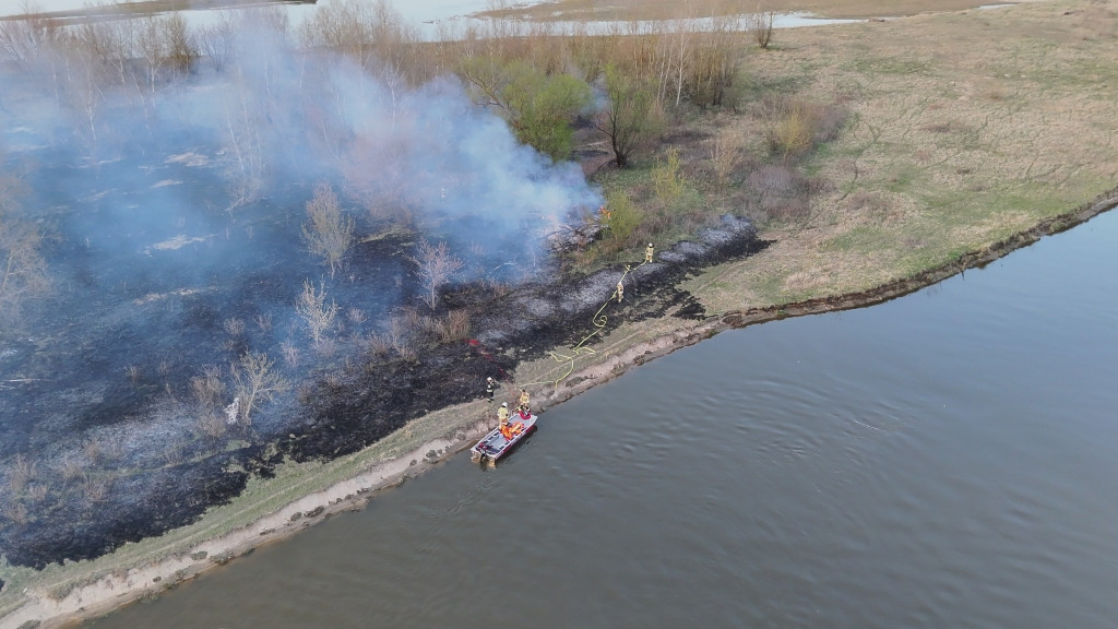 Pożar wyspy na Wiśle w Gminie Iłów