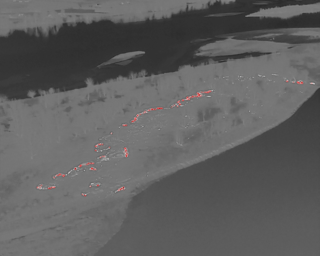 Pożar wyspy na Wiśle w Gminie Iłów