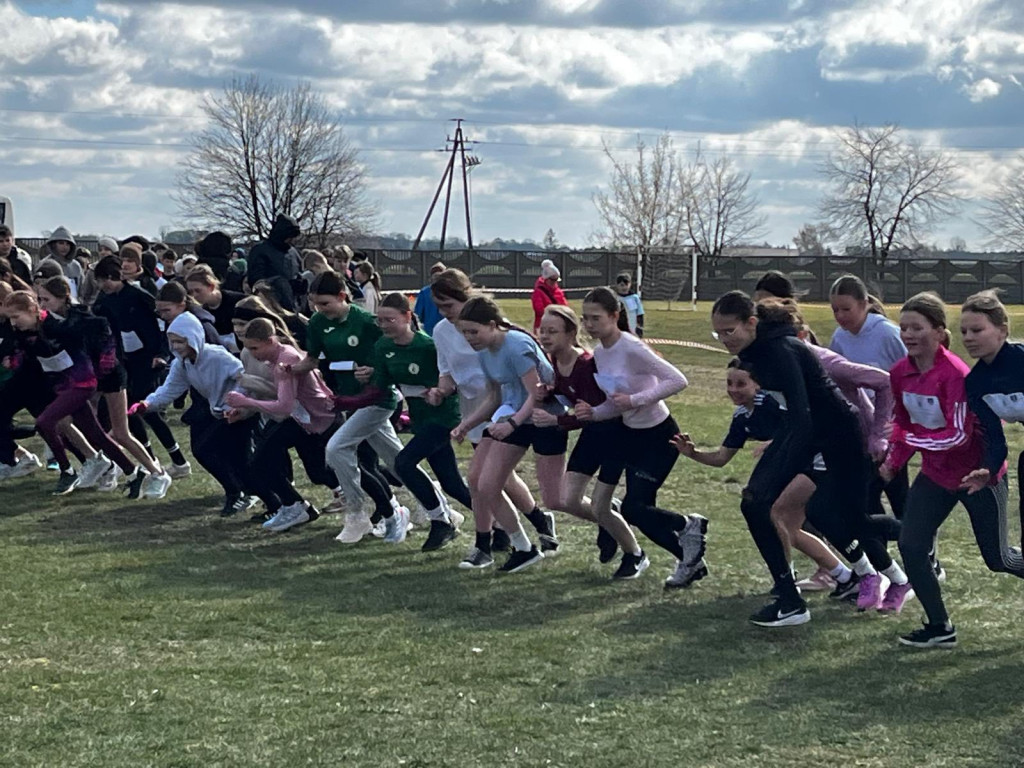 Mistrzostwa Powiatu w Biegach Przełajowych