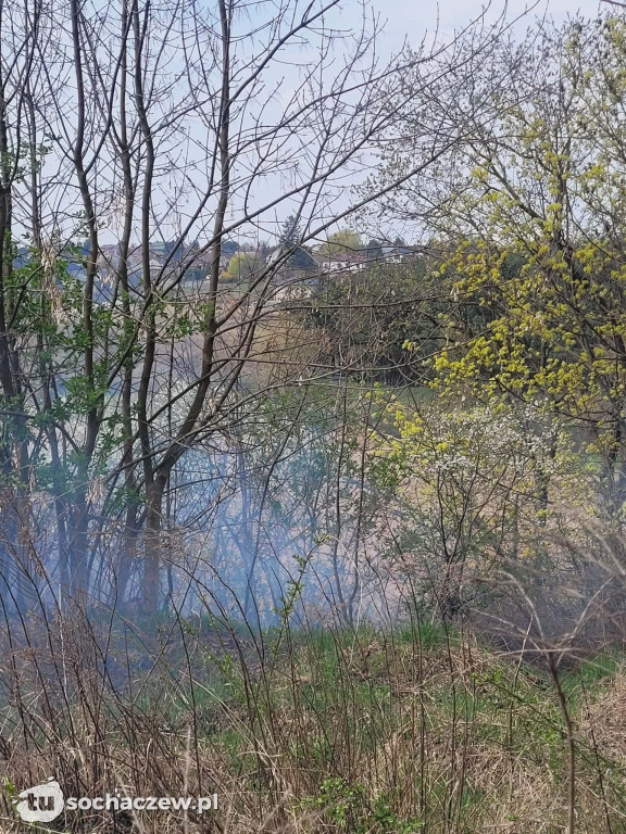 Pożar traw za Czwórką