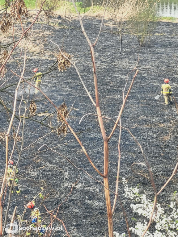 Pożar traw za Czwórką