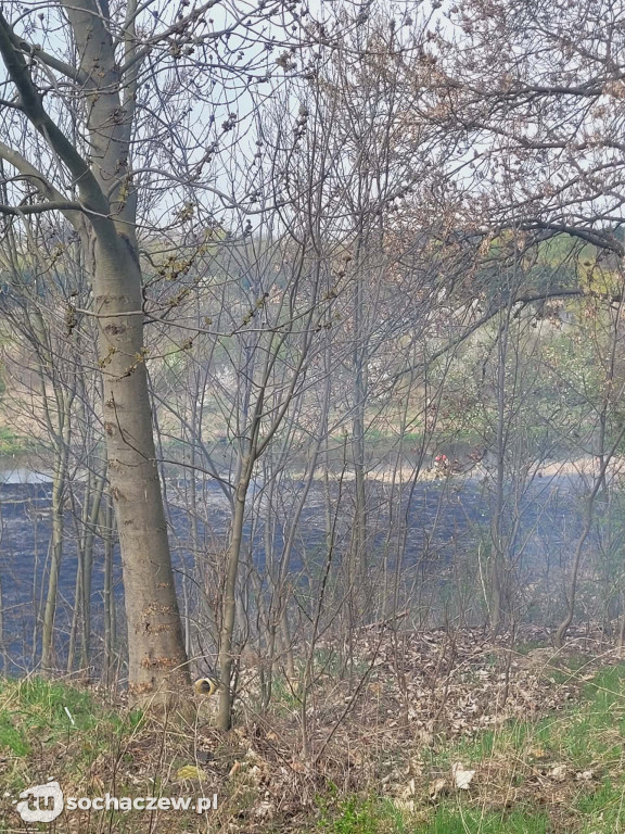Pożar traw za Czwórką